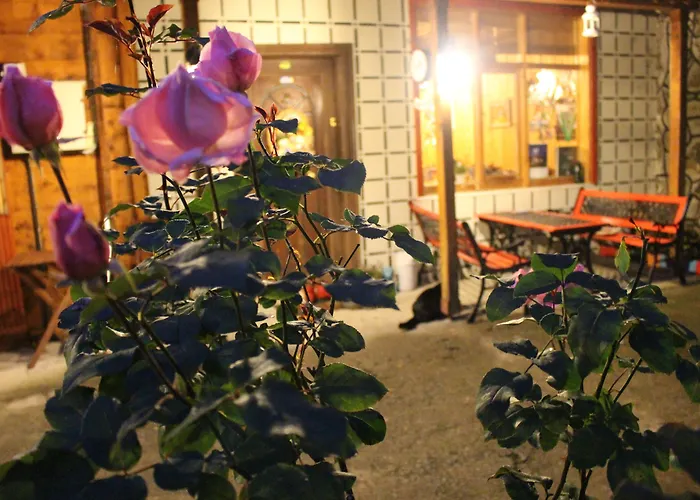 Ayder Liligum Dag Evi Otel