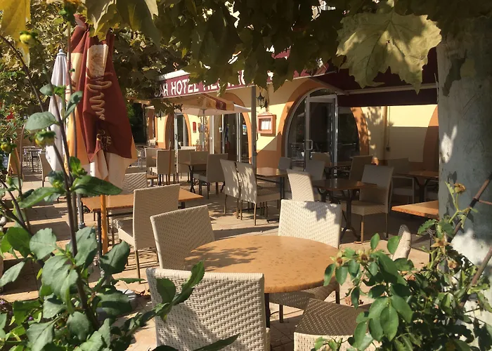 Hôtel-Restaurant le Commerce Nogaro