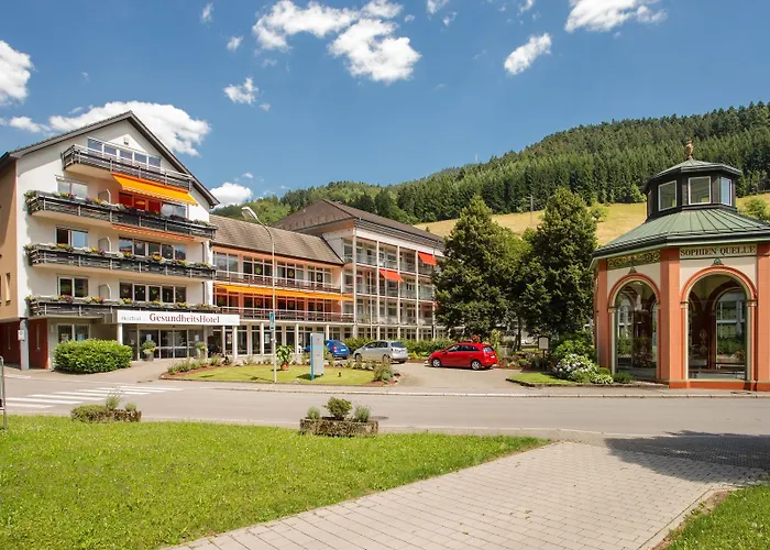 GesundheitsHotel Das Bad Peterstal