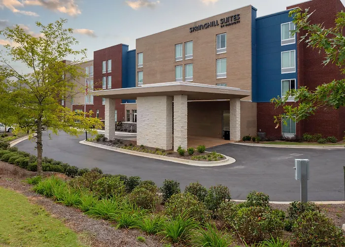 Springhill Suites By Marriott Suwanee Johns Creek