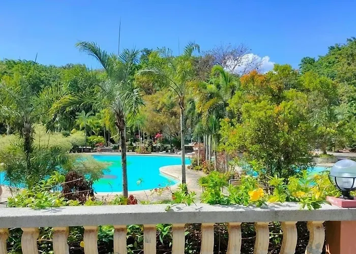 Momarco Forest Cove Tanay