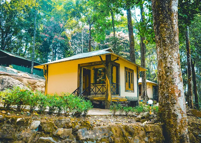 Vythiri Wild Forest Resort