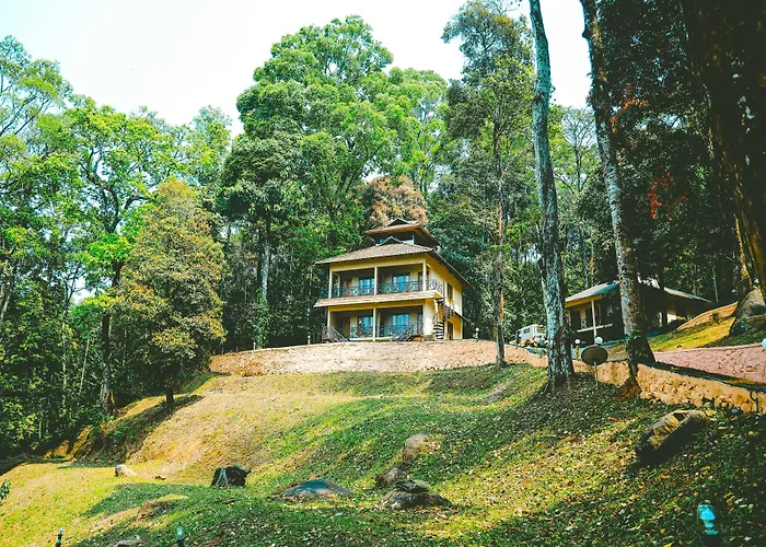 Vythiri Wild Forest Resort