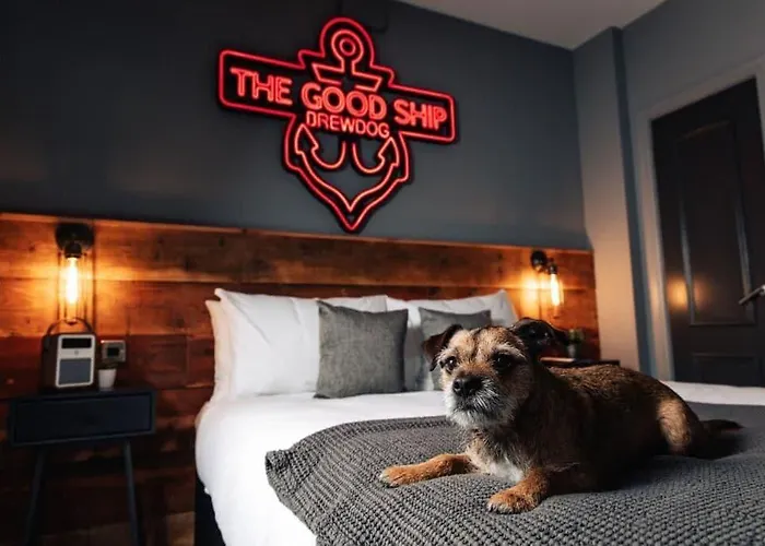 Brewdog Kennels - Aberdeen