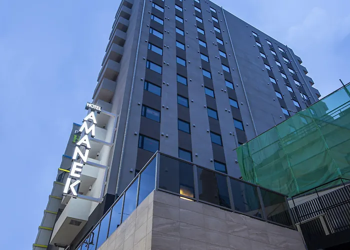 Hotel Amanek Kamata-Eki Mae Tokio