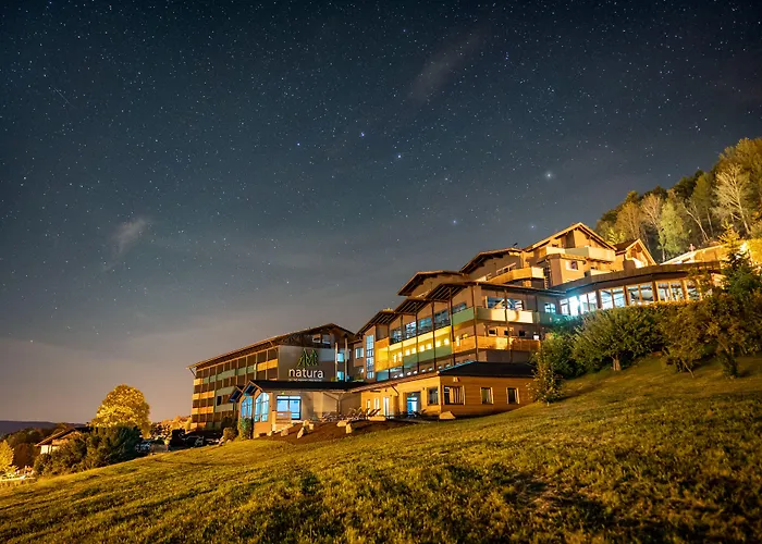 Natura Hotel Bodenmais - Inkl Soft- Und Heissgetraenkeflat