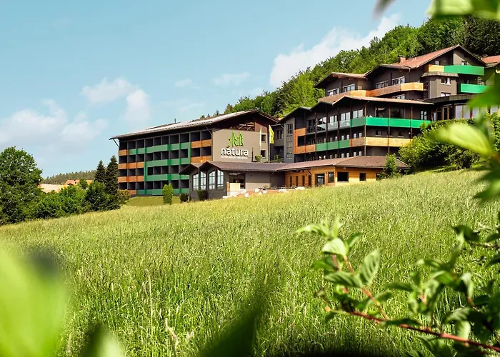 Natura Hotel Bodenmais - Inkl Soft- Und Heissgetraenkeflat