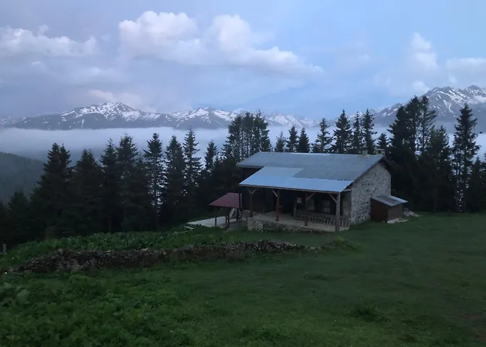 Tanevit Dag Evi Otel Rize