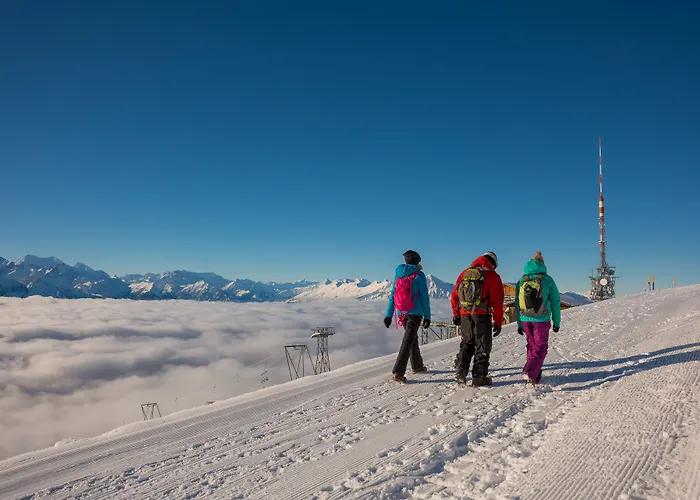 Berghaus Niederhorn Hotel Beatenberg