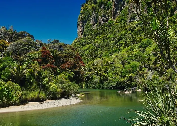 Punakaiki Beach Camp