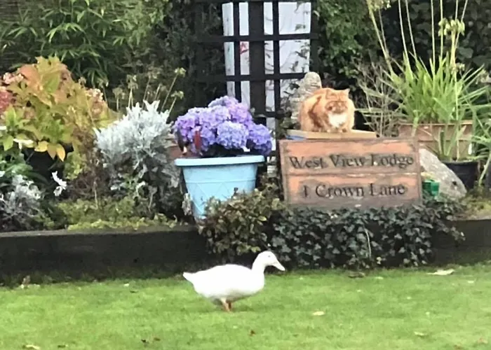 West View Lodge Basingstoke