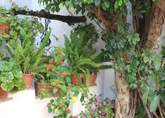 Hotel Restaurante Blanco Y Verde Conil De La Frontera
