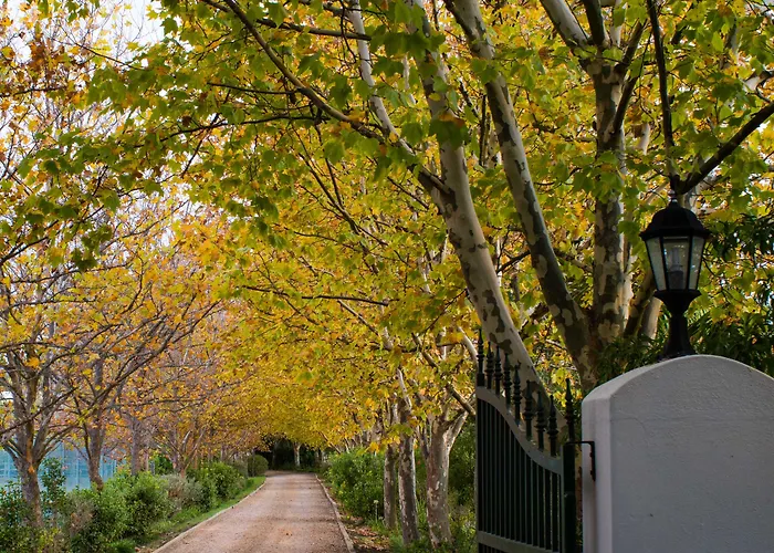 Sanddrif Stellenbosch Guest Farm
