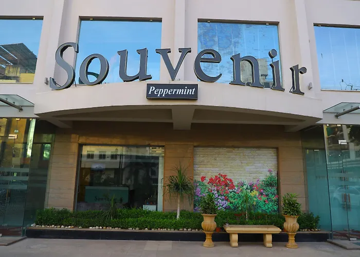 Souvenir Peppermint Hotel Jaipur