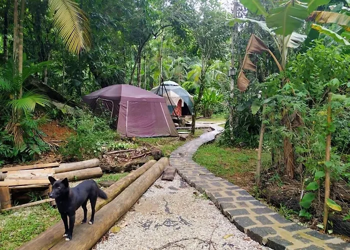 Bed and Breakfast Sitio Simple Life Ubatuba