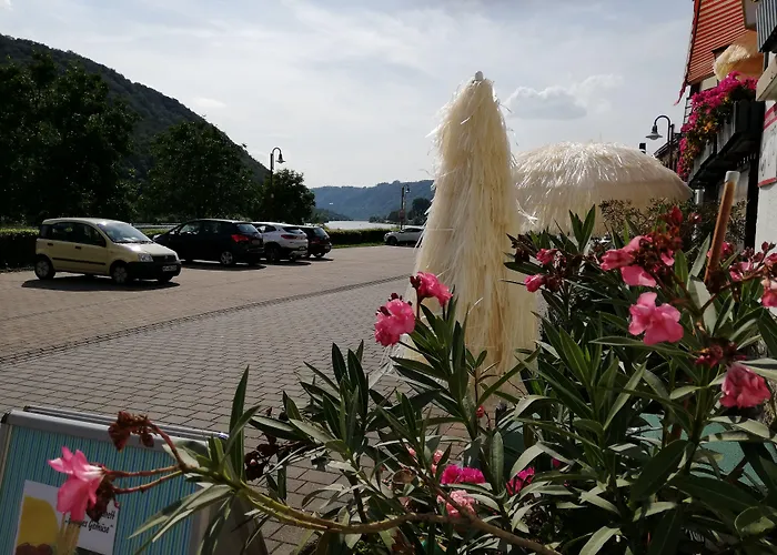Gasthaus Zur Traube Hatzenport