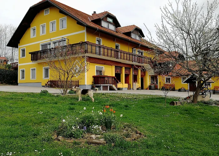 Panorama B&B Ptuj