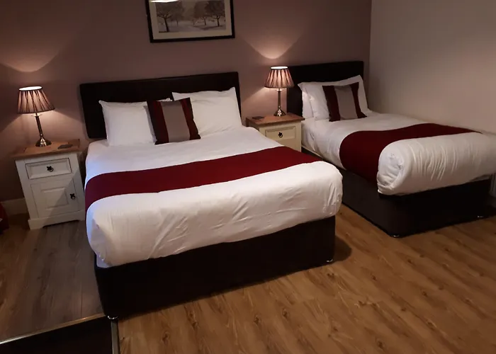 Jim Mcgee'S Hotel Wexford