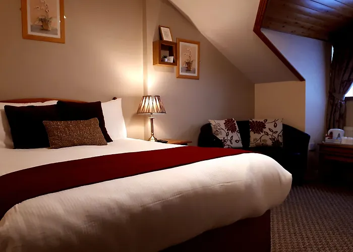 Jim Mcgee'S Hotel Wexford