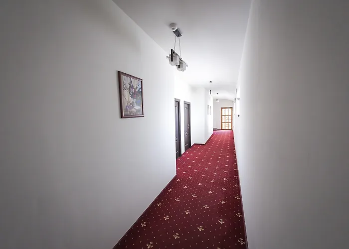 Pensiunea Schwartz Cluj-Napoca