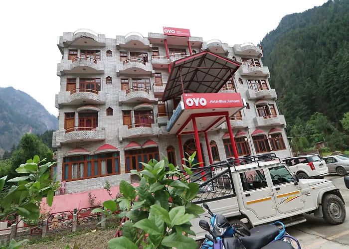 Oyo 30229 Blue Diamond Hotel Kasol