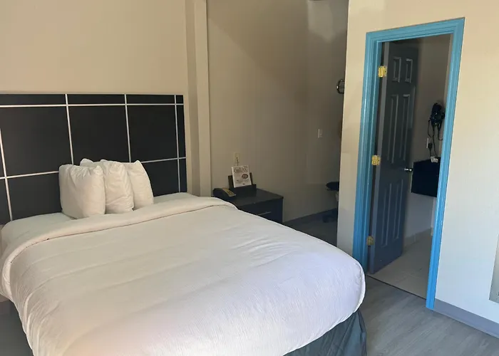 Executive Inn Crystal City