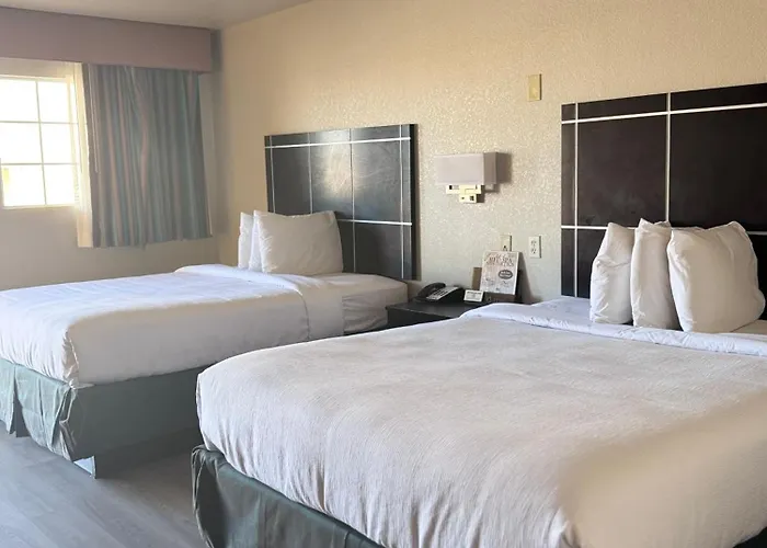 Executive Inn Crystal City