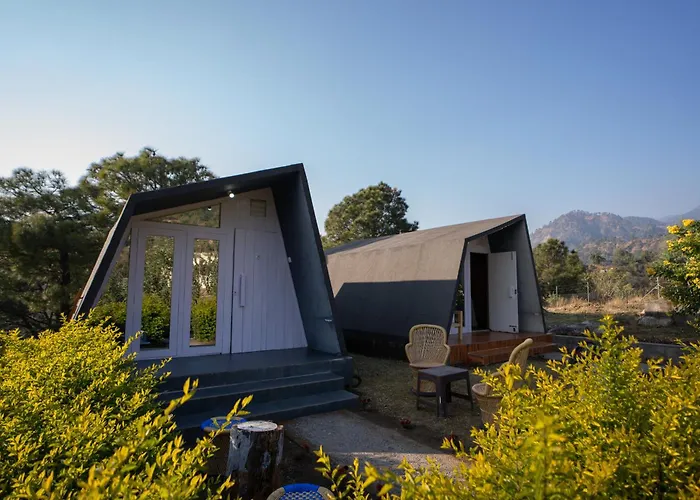 Dhauladhar View Village Resort Dharamshala