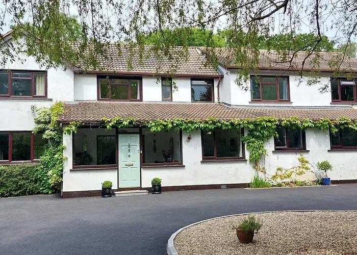 Riverfield Bed And Breakfast Gorey