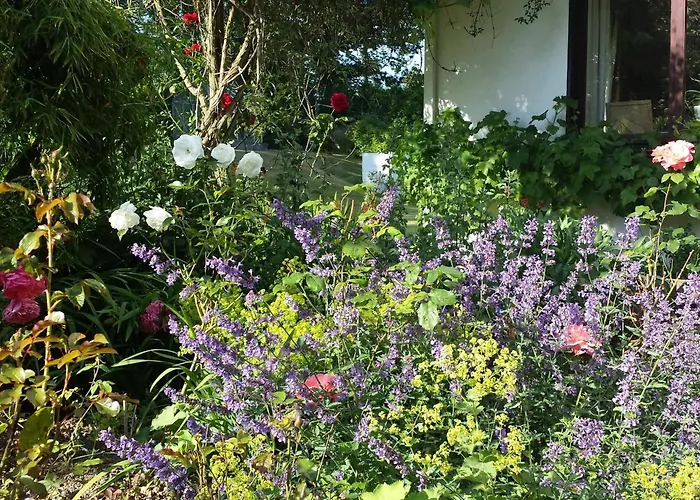 Riverfield Bed And Breakfast Gorey