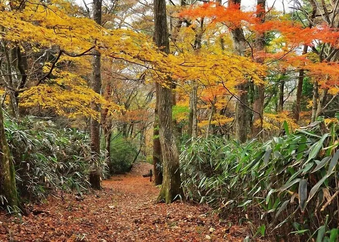 Hakone Guesthouse Toi