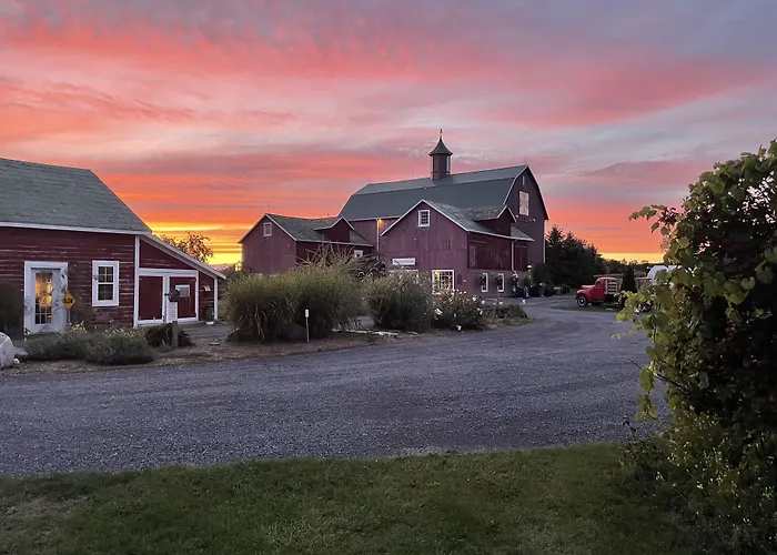 The Eddie Hotel And Farm Bloomfield
