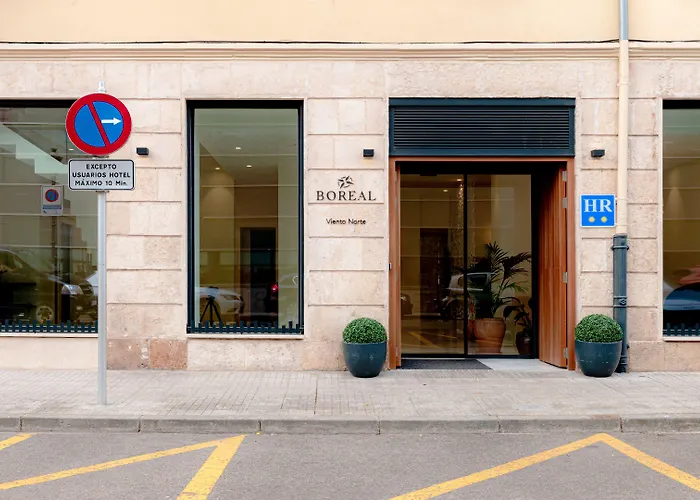Hotel Boreal Viento Norte Burgo