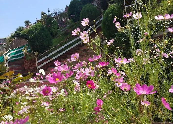 Hotel Victoriya Palace,Mcleod Ganj