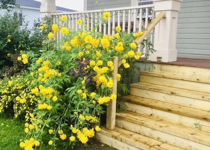 Carriage House Inn Four And A Half Stars Grand Falls Windsor