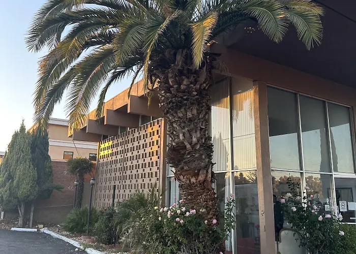 Royal Motel Tracy