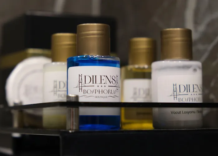 Dilens Bosphorus Hotel İstanbul