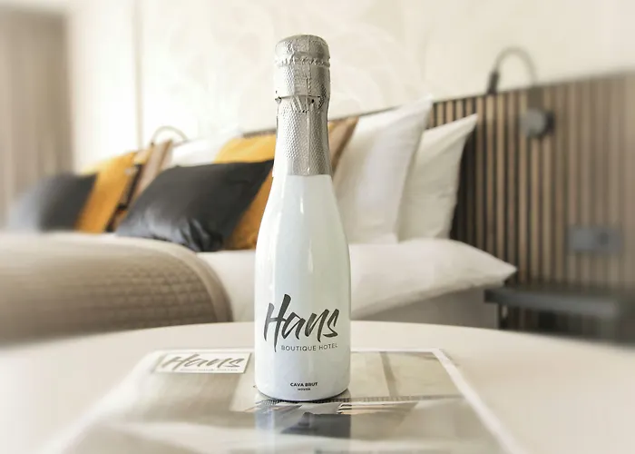 Boutique Hotel Hans - Amsterdam Schiphol Airport Badhoevedorp