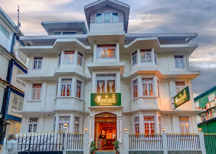 Muscatel Spring Burn - 100 Mts From Mall Road Darjeeling 