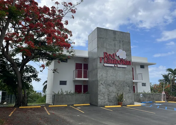 Red Flamboyan Guesthouse And Restaurant Rincon