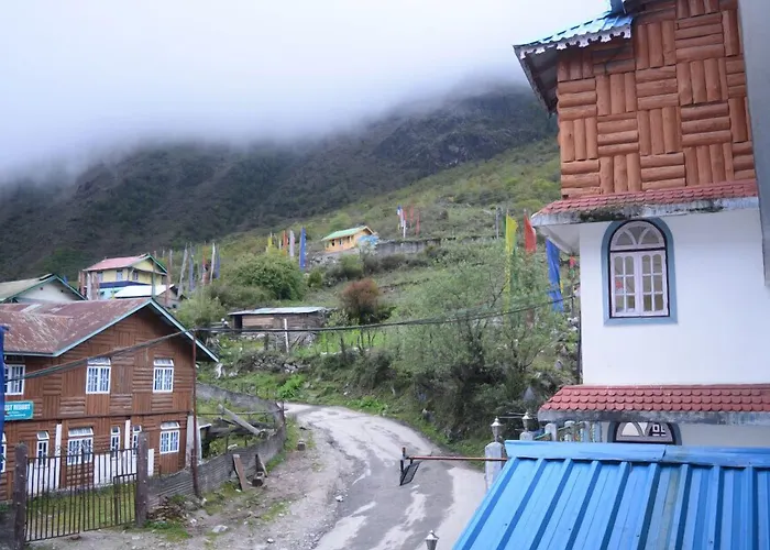 Rufina Royal Lachung