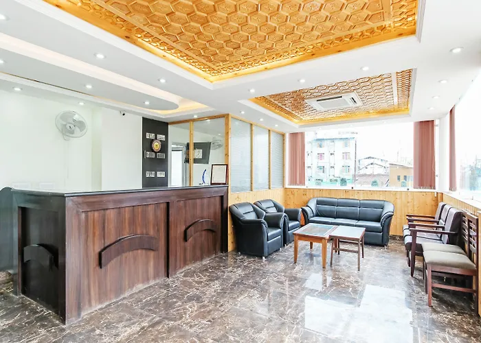 Capital O 29999 Hotel Green Ambition Srinagar 