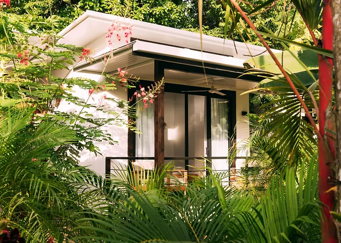 La Prometida Hotel Puerto Viejo de Talamanca