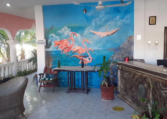 Flamingo Guest House Celestun