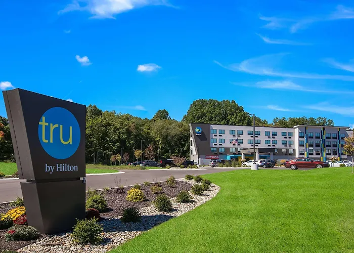 Tru By Hilton Saint Joseph Hotel Stevensville
