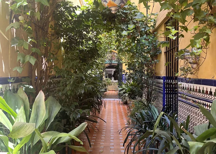 Hostal Atenas Séville