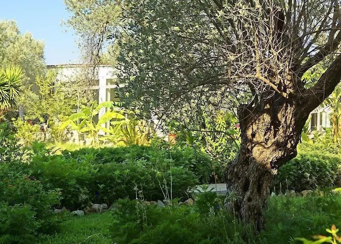 Saint George Resort Archangelos 
