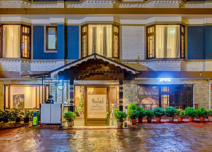 Muscatel Grand Silkroute - 300 Mts From Mg Marg Gangtok