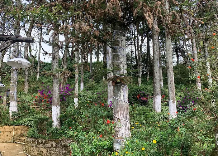 Sapa Garden Retreat Hotel