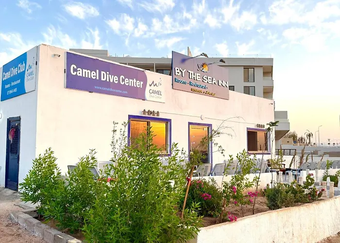 Camel Dive Club By The Sea Inn Aqaba